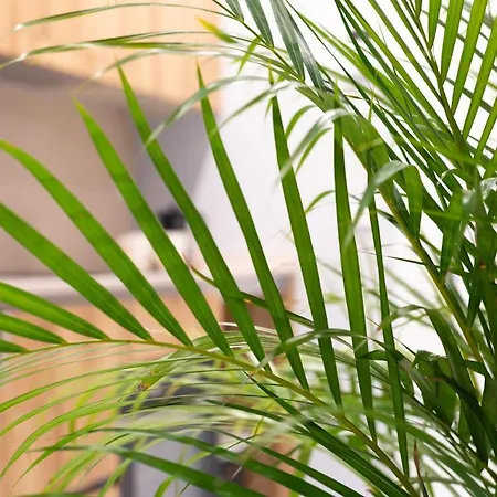 Apartamento Precioso Centro Playa A Estrenar Obra Nueva Gijón