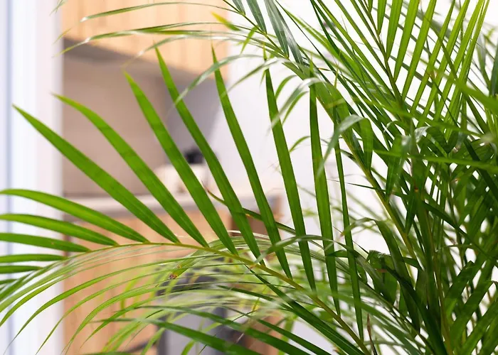 Lejlighed La Gringa Centro I Obra Nueva Con Posibilidad De Parking Gijón