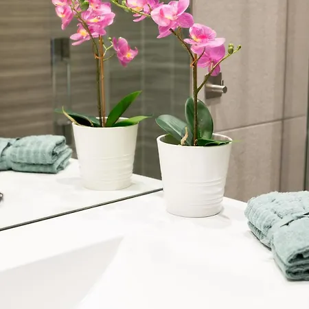 La Gringa Centro I Obra Nueva Con Posibilidad De Parking Appartement